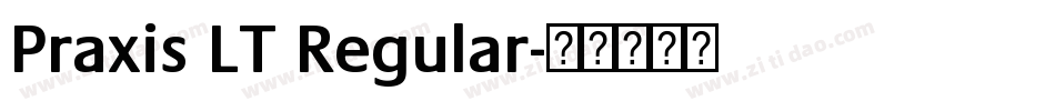 Praxis LT Regular字体转换